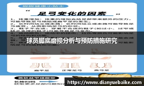 球员脚底磨损分析与预防措施研究